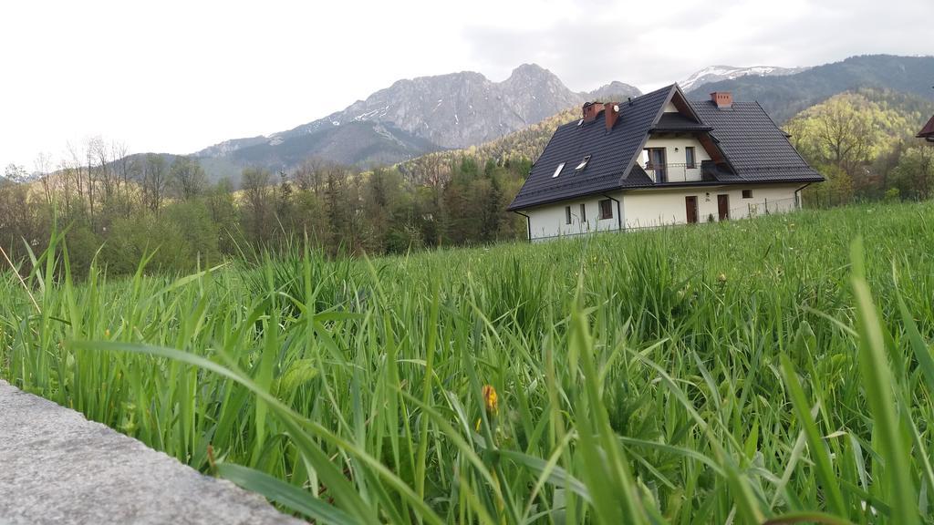 Willa W Dolinie Cichej Wody Zakopane Exterior photo