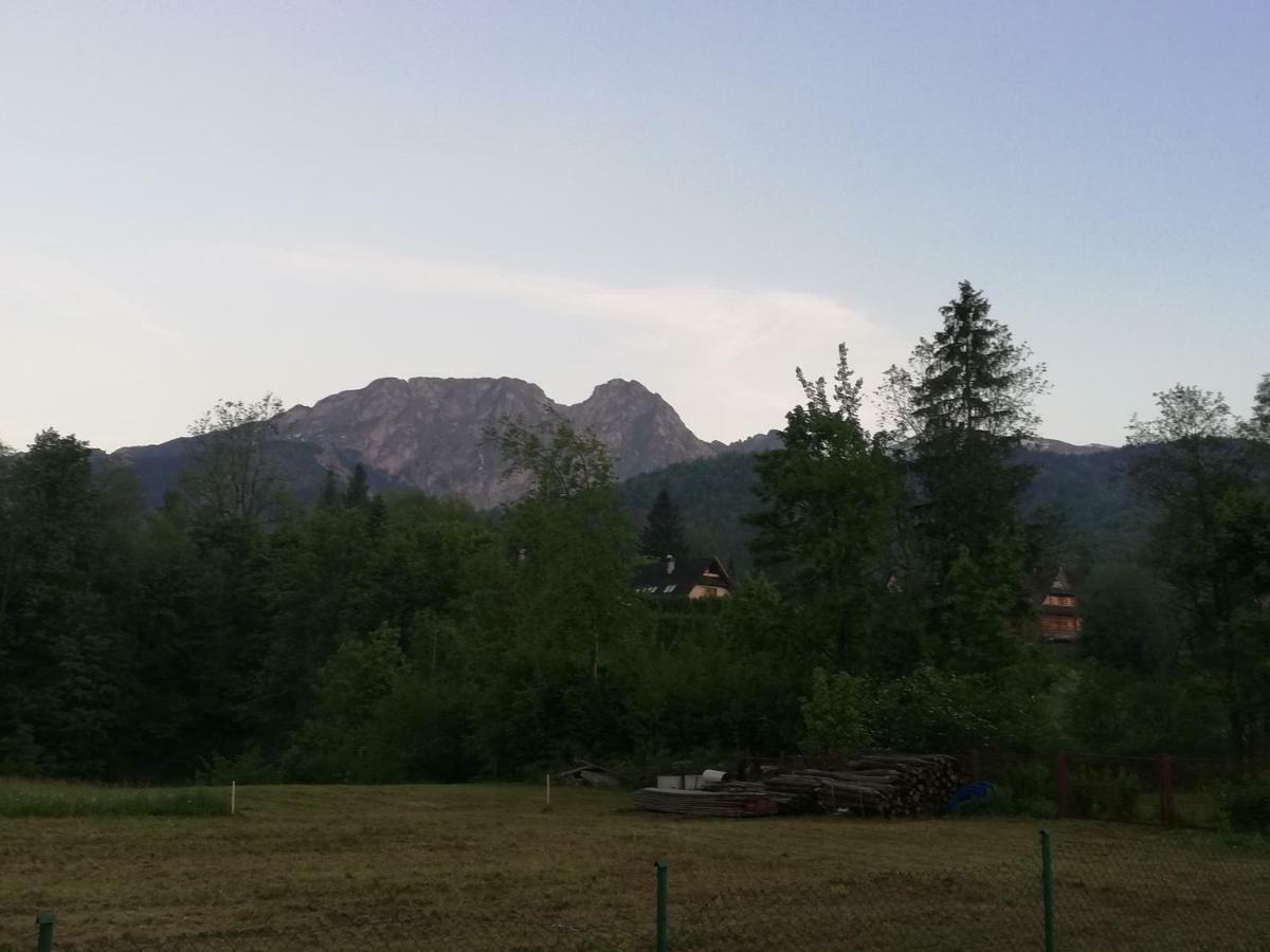 Willa W Dolinie Cichej Wody Zakopane Exterior photo